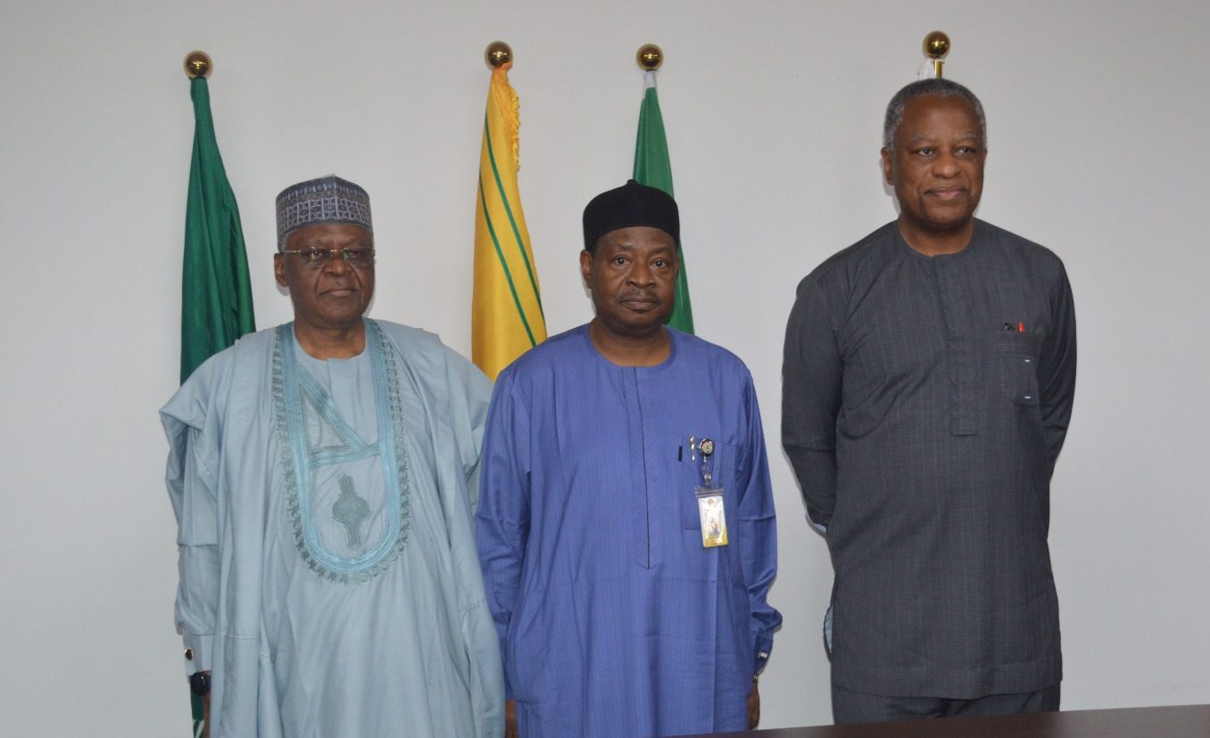 PPP: ICRC, Foreign Affairs Ministry open talks to revitalize FG’s properties abroad