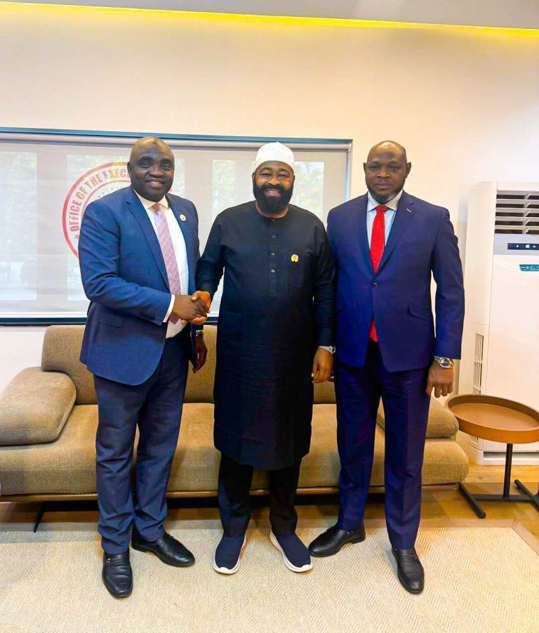 Adoption of Public-Private Partnerships for Infrastructure and Service Delivery